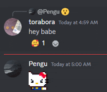 a screenshot of a discord conversation between pengu and toradora