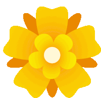 a yellow flower with a white center is against a white background