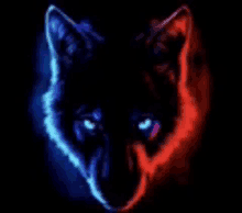 a close up of a wolf 's face with blue and red eyes in the dark .