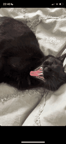 a black cat laying on a bed with its mouth open