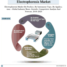 a graphic showing the electrophoresis market by product and instrument type