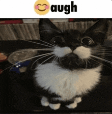 a black and white cat with a mustache and a smiley face on its face is sitting on a table .