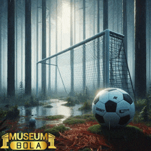 a soccer ball in the middle of a forest with a museum bola logo