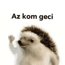 a hedgehog is waving at the camera with the words `` az kom geci '' .