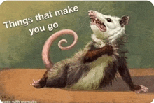 a painting of an opossum with the words things that make you go on the bottom