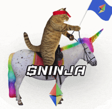 a cat is riding on the back of a unicorn with the word ninja written below it