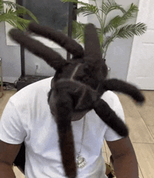 a man in a white shirt has a spider made out of his hair on his head