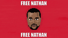 a pixelated image of a man with the words free nathan below him