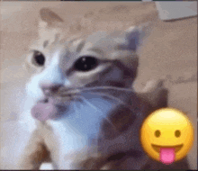 a cat is holding a mouse in its mouth next to a smiley face with its tongue hanging out .