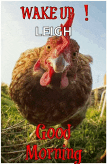 a picture of a chicken with the words wake up leigh good morning on it