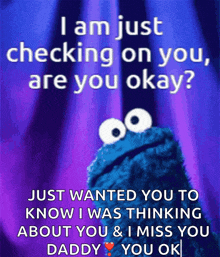 a cookie monster says i am just checking on you are you ok