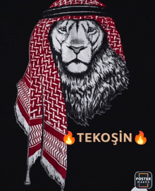 a drawing of a lion wearing a scarf and a turban with the word tekosin below it