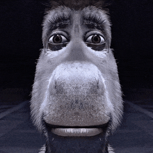 a close up of a donkey 's face with big eyes and a beard