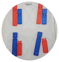 four red and blue plastic blocks are arranged in a circle with the word etape 4 on the bottom