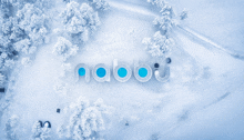 an aerial view of snow covered trees with the word nabbi in the middle