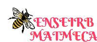 a logo with a bee and the words " enseirb matmeca "