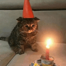 a cat wearing a party hat is sitting next to a lit candle .