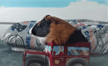 a guinea pig is sitting in a toy truck with the word hug on the side