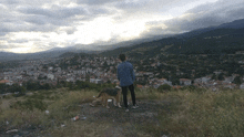 a man and a dog standing on top of a hill overlooking a town