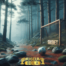 a soccer goal in the middle of a forest with a museum bola logo