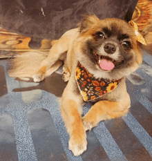 a small dog wearing a bandana with leaves and flowers on it