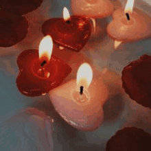 a bunch of heart shaped candles are floating in a pool of water .