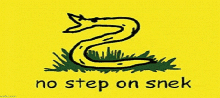 a yellow background with a snake on it and the words `` no step on snak '' .