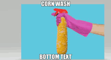 a person wearing a pink glove is holding a spray bottle over a corn on the cob .