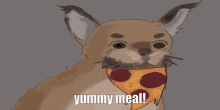 a drawing of a cat with a slice of pizza in its mouth and the caption yummy meal