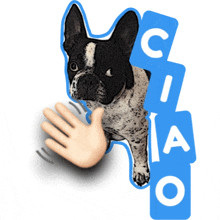 a sticker of a dog with the word ciao behind it