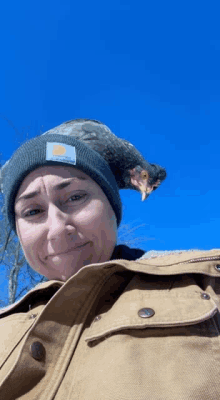 a woman wearing a carhartt beanie holds a chicken on her shoulder