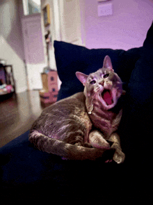 a cat with its mouth open laying on a couch