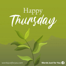 a green background with the words happy thursday