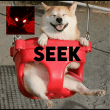 a dog is sitting in a red swing with the word seek written on it