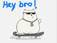 a cartoon of a cat on a skateboard with the words hey bro written below it