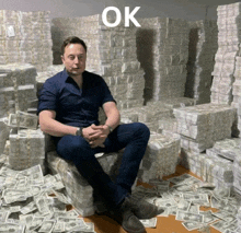 elon musk is sitting on a pile of money with the word ok above him