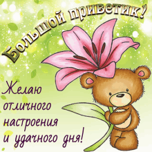 a teddy bear is holding a pink flower with the words " желаю отличного настроения и удачного дня " on the bottom