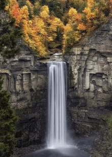 a waterfall is surrounded by trees and rocks in the middle of a forest