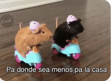 a couple of guinea pigs riding scooters with the caption pa donde sea menos pa la casa