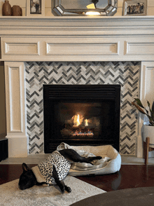 a dog laying in front of a fireplace wearing a leopard print sweater