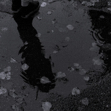 a person standing in a puddle of water with leaves in it