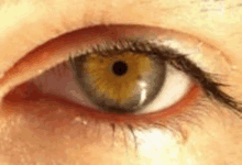 a close up of a person 's green eye with a black pupil and long eyelashes .