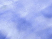 a blue cat 's paw is visible in a blue background