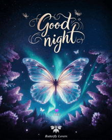 a poster that says " good night " with a butterfly on it