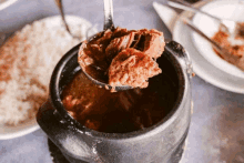 a ladle full of meat is being poured into a pot of stew