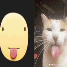 a cat sticking its tongue out next to a yellow smiley face