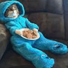 a cat in a blue cookie monster costume is sitting on a couch eating cookies .