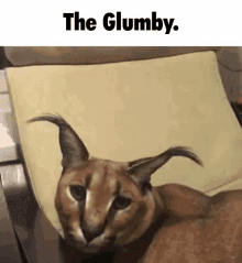 a close up of a cat laying on a chair with the words `` the glumby '' written above it .