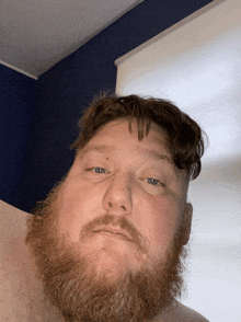 a man with a beard looks at the camera with a blue wall behind him