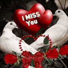 a couple of pigeons sitting next to a red heart that says " i miss you "